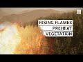 The Science Behind Wildfires - The Weather Channel