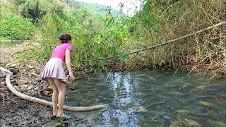 Full Video: The Girl Use A Large Pump To Drain Water, Catch Many Fish in Hidden Jungle Pond