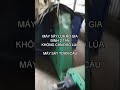 MÁY SẤY LÚA 2 TẤN KHÔNG CẦN ĐẢO LÚA