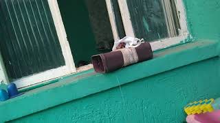 Espionando Minha Mãe