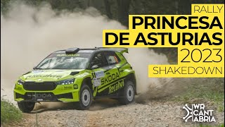 60 Rally Princesa de Asturias | SCER 2023 | Shakedown | Mistakes & Show