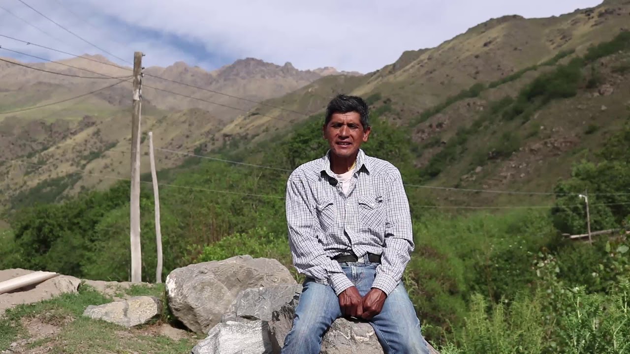 Tejedor de Tafi del Valle