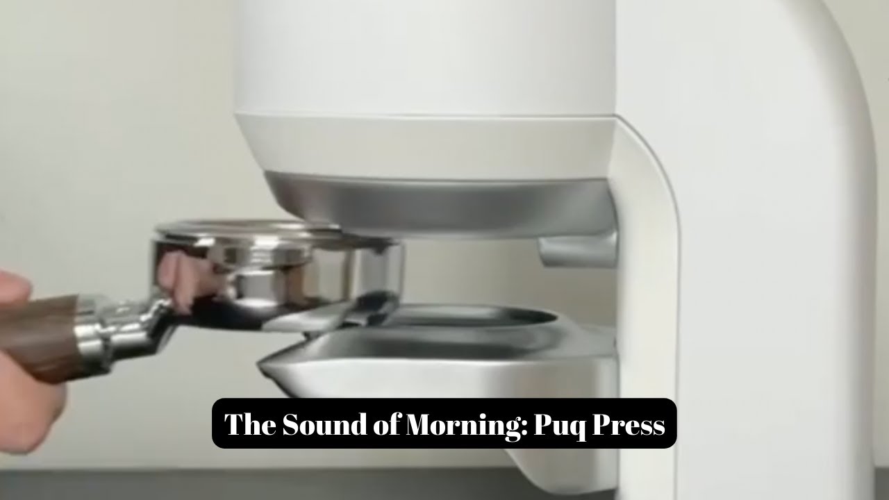 Sound of Morning By Puq Press Mini!