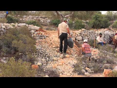 Traditional Knowledge In Palestine السناسل في فلسطين 