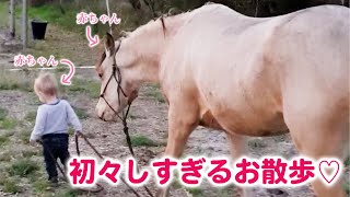 スーちゃん のんび〜り お馬さんとお散歩 赤ちゃんが、お馬さんの赤ちゃんを、お散歩……？ - YouTube スーちゃん