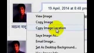 How To See a Wordpress User Profile Picture