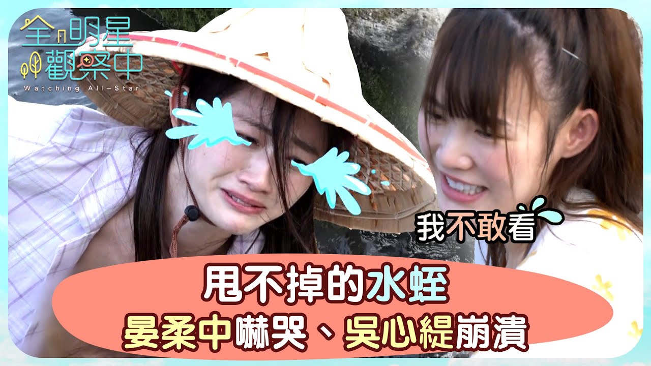 【全明星觀察中2】甩不掉的水蛭 晏柔中嚇哭、吳心緹崩潰