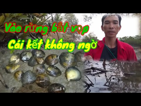 vào rừng bắt vọp cái kết bất ngờ ... - YouTube