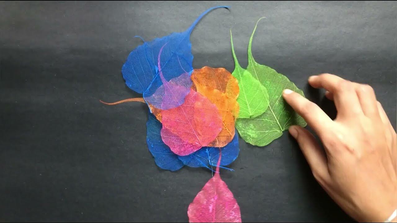 Skeleton leaves wall hanging craft How to make skeleton leaves DIY