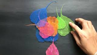Skeleton leaves wall hanging craft |How to make skeleton leaves |DIY skeleton leaves art
