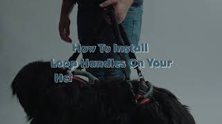 Famous Walking Loop Handles Profile