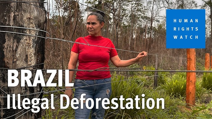 Анальный порно компиляция Жас бразилиялық қыз балалық секс