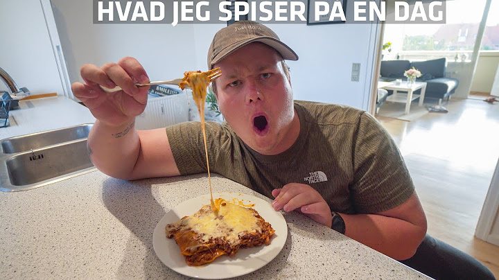 HVAD SPISER JEG PÅ EN DAG??