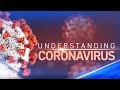 Understanding Coronavirus: Everything You Need to Know