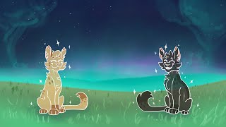 Frecklewish Wanted To Go To Starclan Blood Warning