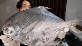 A Ridiculously Delicious Ocean Sunfish Type Fish Sent by Hamayu