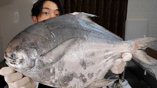 はまゆうから送られてきたマンボウみたいな魚が絶望的に美味かった