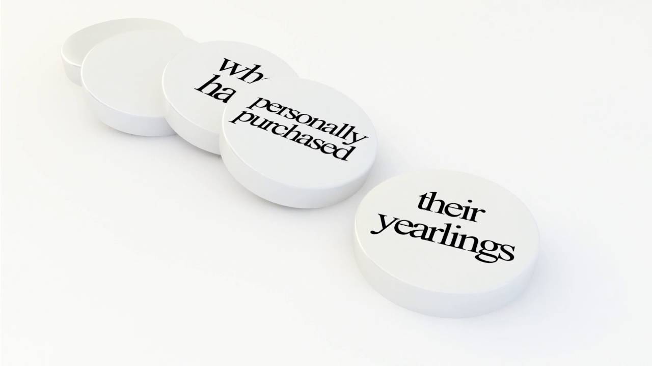 Racehorse syndication racehorse shares