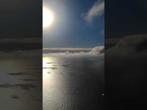 Из зимы Центрального округа в зиму Краснодарского края #сочи #сочисегодня #сочисейчас