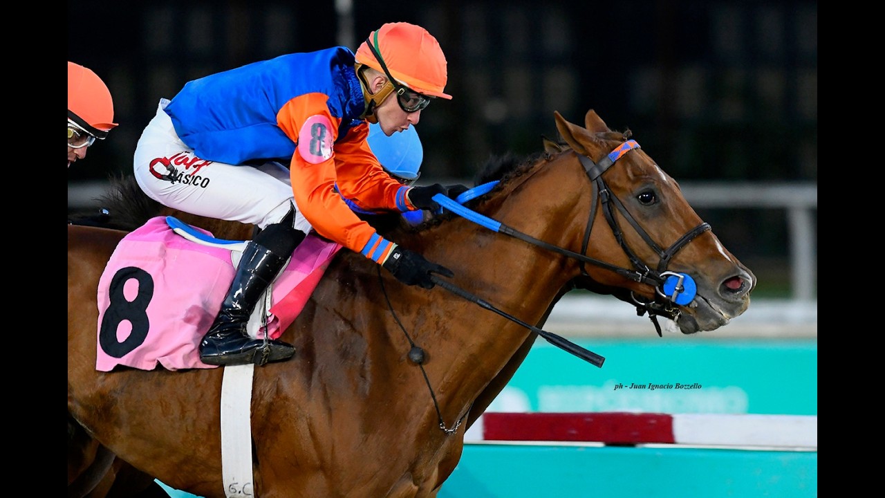 Zaatar encontró su mejor victoria en el Handicap Potrillazo