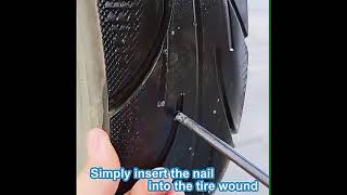 Amazing Vacuum Tire Repair Nails 10 Pieces For Car Truck Motorcycle Scooter Bike