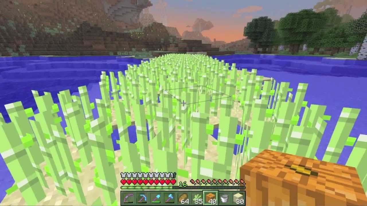 Thungon's SSP - Episode 35: Over 1 year old