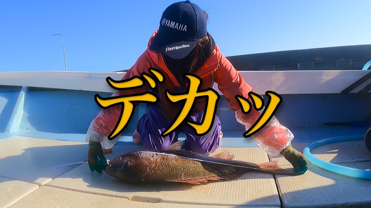 ビッグサイズの鯛をGET！カワハギ大漁！イカも大暴れ！