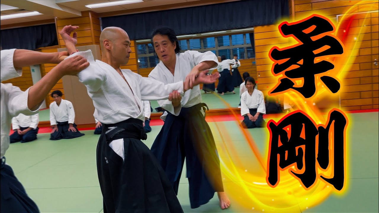 【合気道】柔と剛が溶け合う｜第七回 せせらぎ月島 演武会〈川野 三段〉自由演武