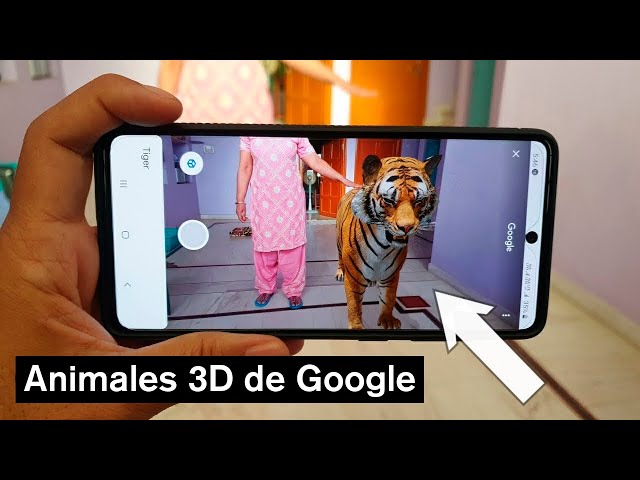 Cómo ver los animales 3D de Google en iPhone y Android: leones, tiburones y  tigres a través de la cámara