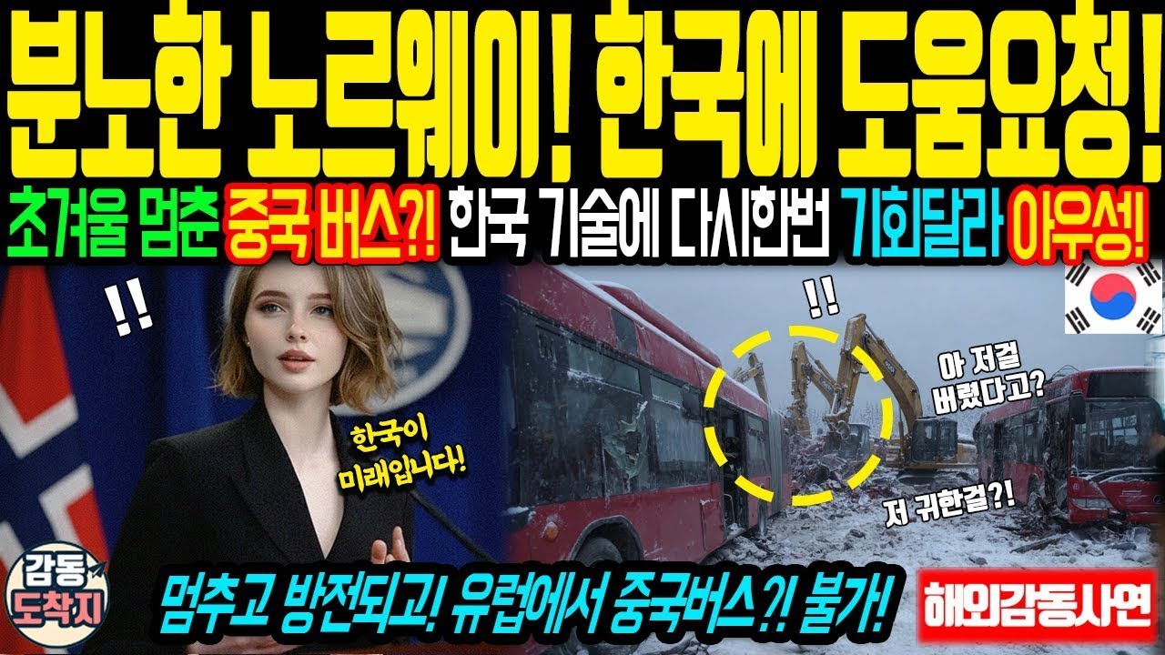 해외감동사연 중국버스에 분노한 노르웨이  정답은 한국뿐