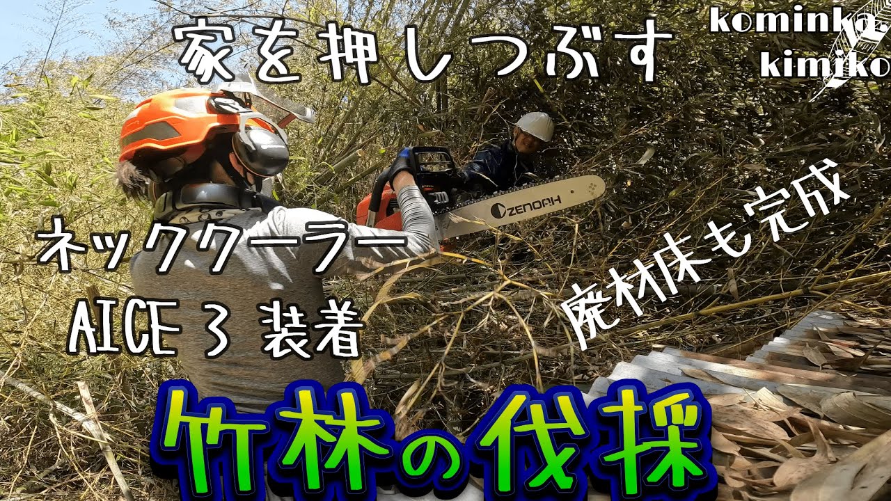 【古民家に住もう#85】家にのしかかった竹を伐採します。