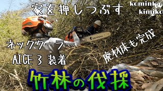 【古民家に住もう#85】建物にのしかかった竹を伐採します。