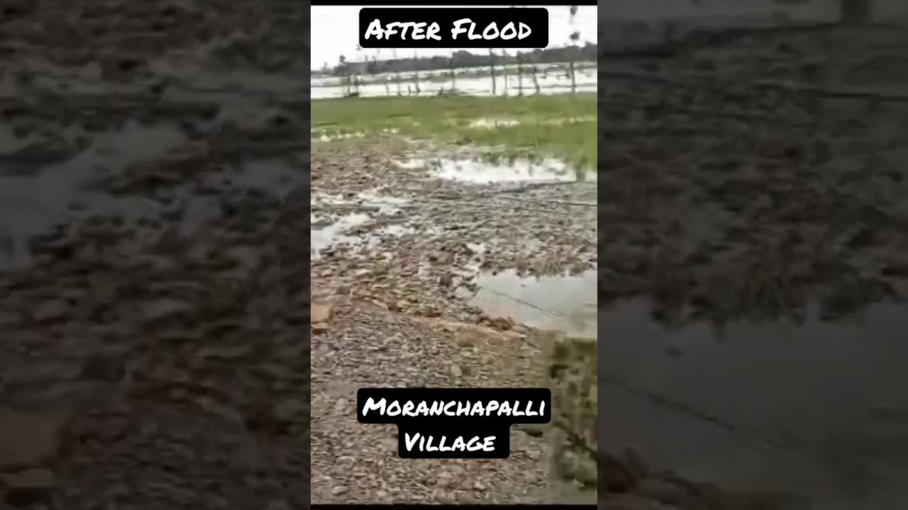 Moranchapalli Village Situation After Flood 