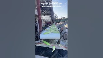 Corn Cob Top Tail Cutting Machine