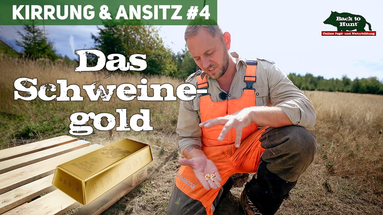 Welches Kirrmittel? | Kirrung und Ansitz #4