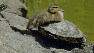 Cine Assignment #3 DOF Exercise