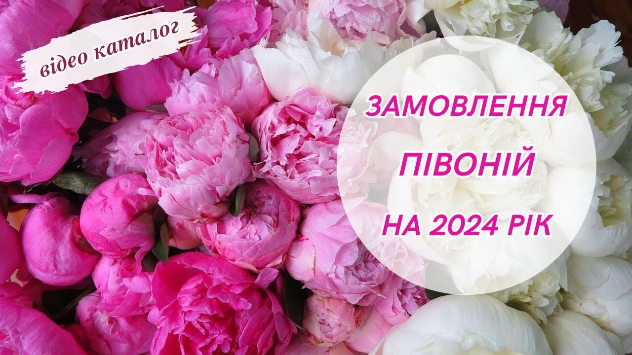 Колективне замовлення півоній з Нідерландів на 2024 рік! Новинки та ексклюзивні сорти!