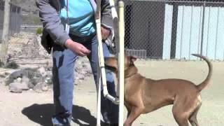 Brix Showing His Tricks