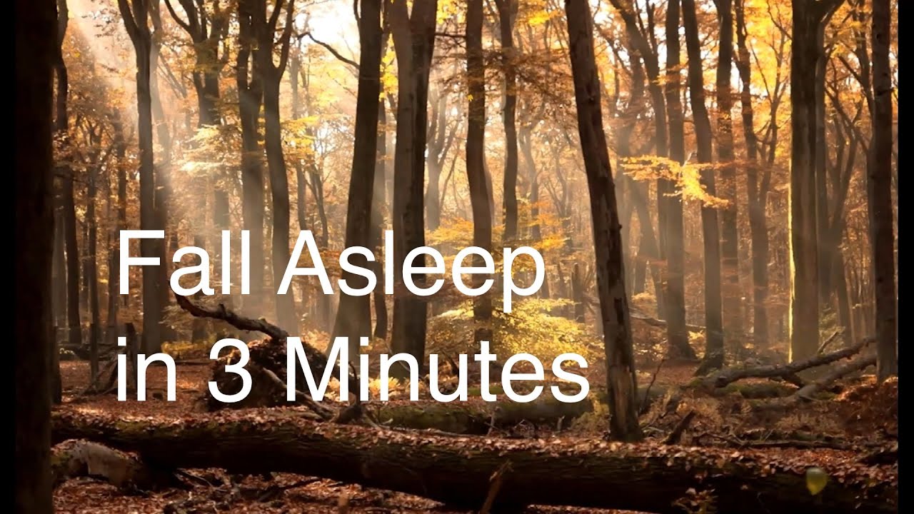 Fall Asleep in 3 minutes & Relaxing Music & Ambience Sounds - YouTube