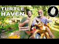 How to Design a *TURTLE POND* - Part 1