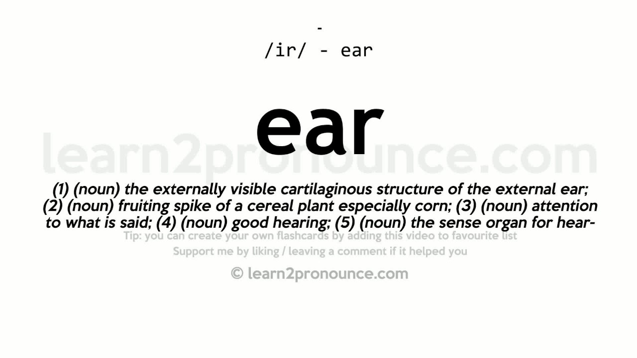 Pronunciation of Ear Definition of Ear YouTube
