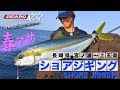 ヒラマサショアジギング3