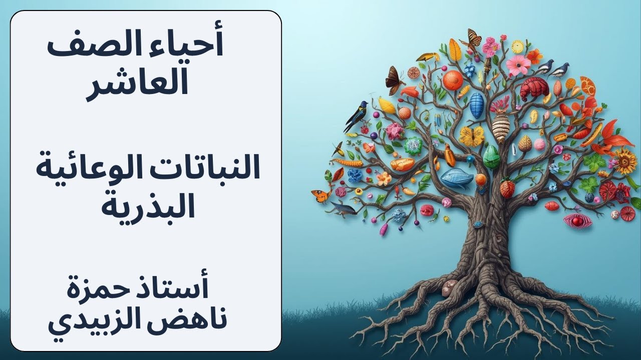 النباتات الوعائية البذرية الدرس الثاني احياء الصف العاشر