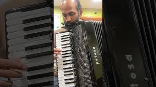 Soft sounds on accordion screenshot 5