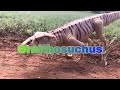 Ingen: Dinosaur Profile- Ornithosuchus