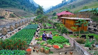 This Organic Harvest Shocked the Market | Off-Grid Cooking \u0026 Chickens