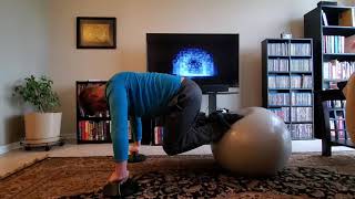 Plank tuck-ins w/hold on fitness ball