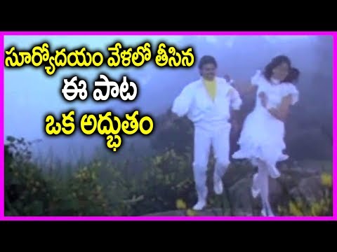 poddunne-puttindi-chandamama---sathruvu-telugu-video-song---venkatesh-,-vijayashanthi