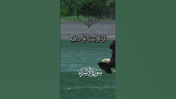 #الشيخ محمد الفقيه _ سورة الإسراء #مشاهير #اكسبلور