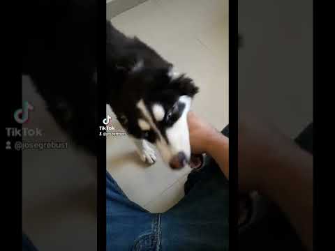 ¡Truco para que